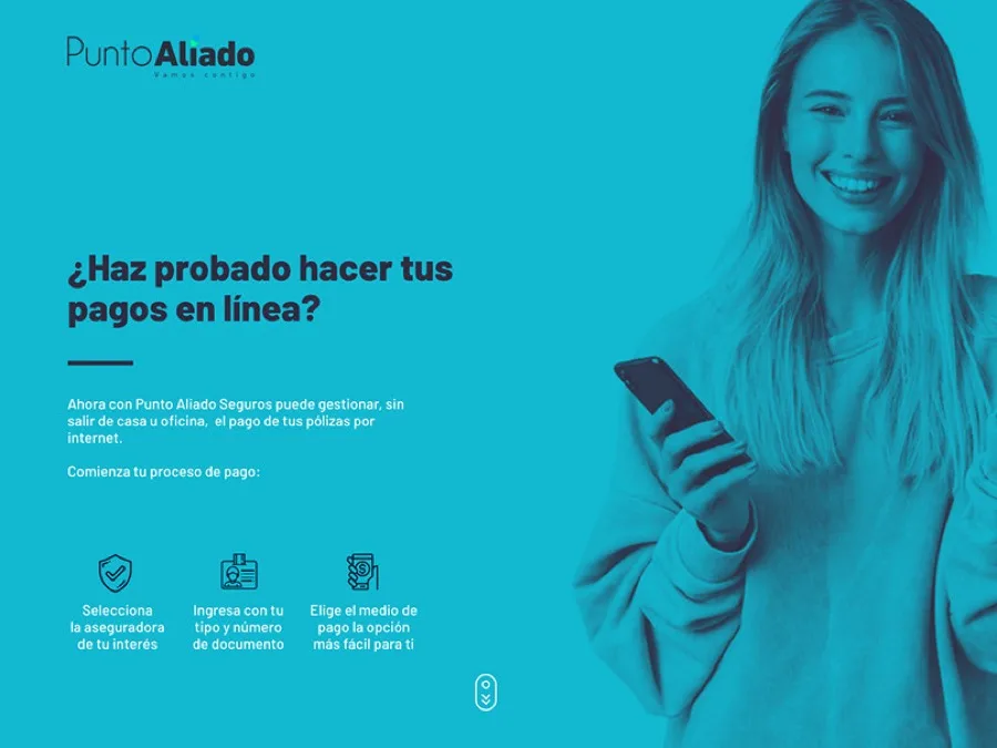 Vista del proyecto Punto Aliado